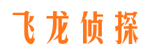 高平侦探公司